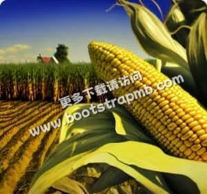 畅游体育世界，尽在华体会 - 华体会