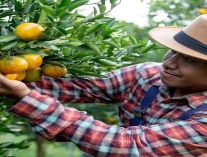 华体会
